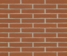 "Feldhaus Klinker" klinkerinės plytelės R731